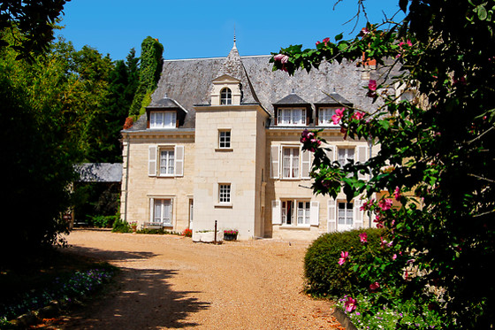 Manoir de la Giraudière - photo 7