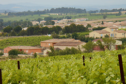 Domaine les Maillols
