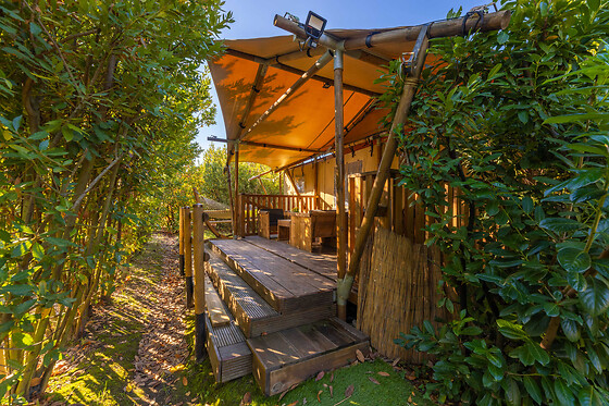 Glamping Il Pruno - photo 4