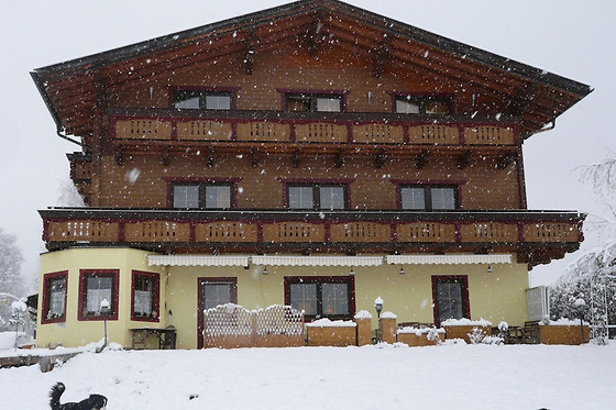 Landhaus Aubauerngut - photo 3