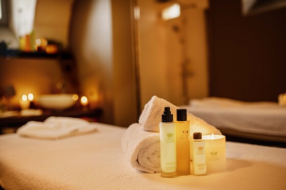 Best Western Premier Hôtel de la Cité Royale - photo 31