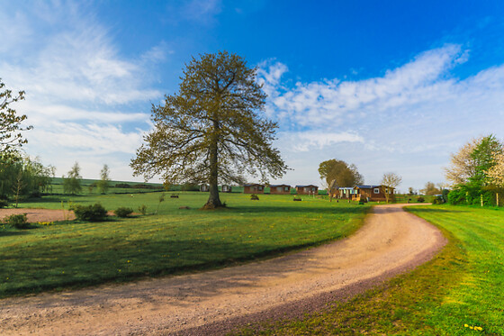 La Ferme des Epis - photo 3