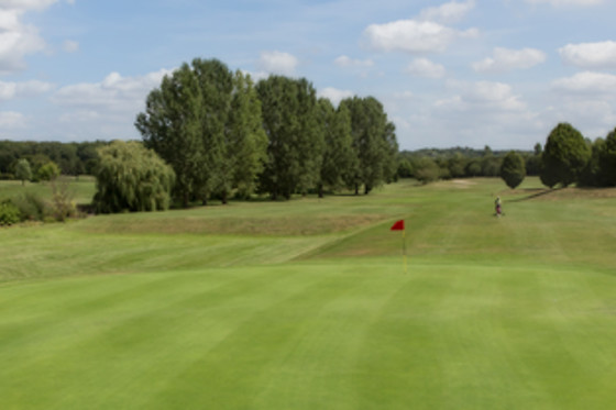 Ugolf Metz - photo 9