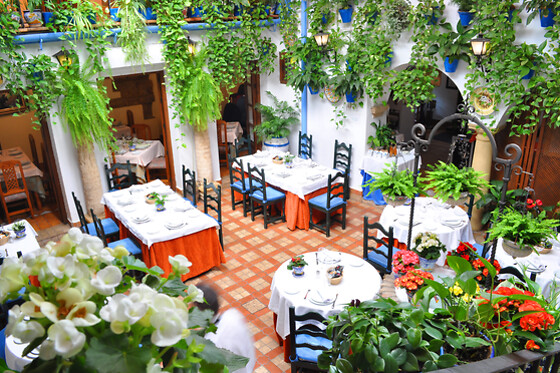 RESTAURANTE PUERTA SEVILLA - photo 1