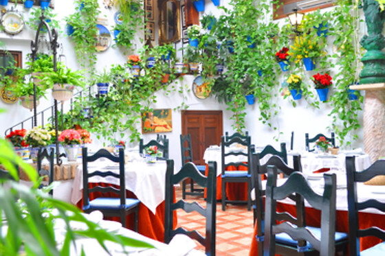 RESTAURANTE PUERTA SEVILLA - photo 16