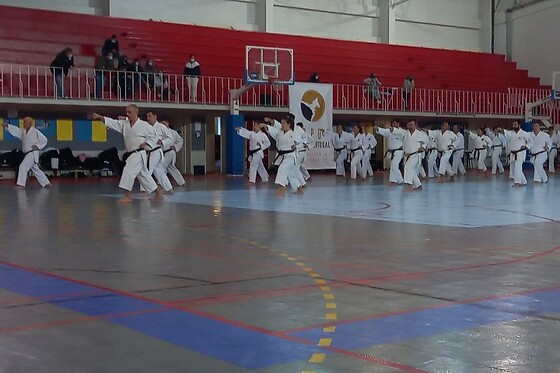 Ippon Karate Portugal - photo 4