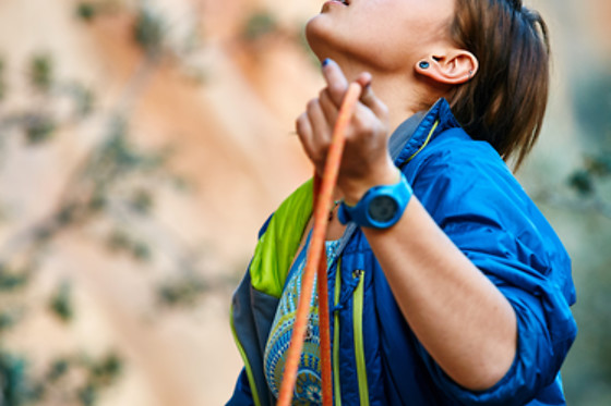 LA PANXA DEL BOU - photo 3