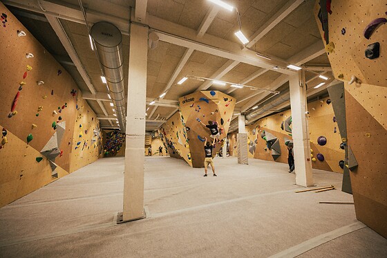 ARKOSE & CO - photo 1