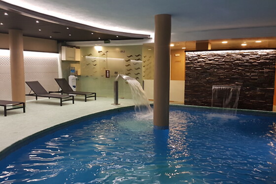 HOTEL GRÈVOL SPA - photo 16