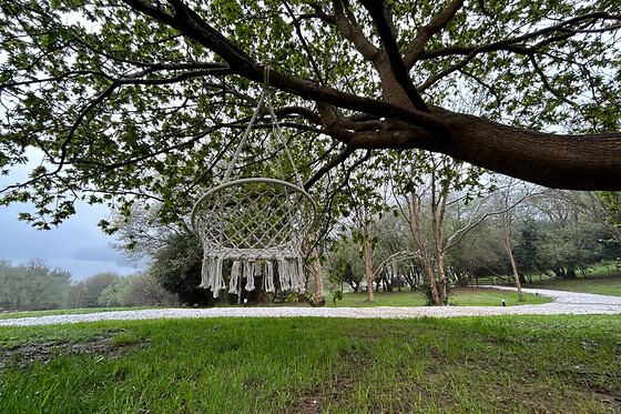 O RECUNCHO DO SOR - photo 16