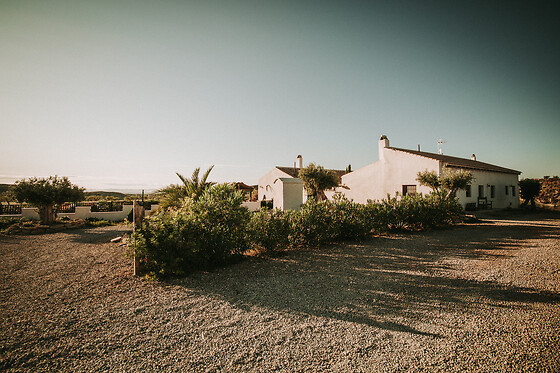 FINCA EL POCICO - photo 22