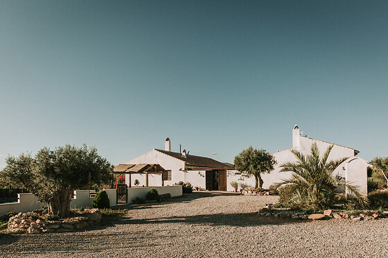 FINCA EL POCICO - photo 26