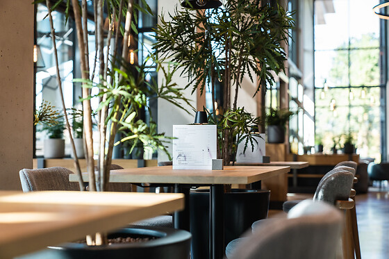 Hotel Rosveld - photo 14