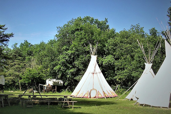 West Wood Ranch - photo 10