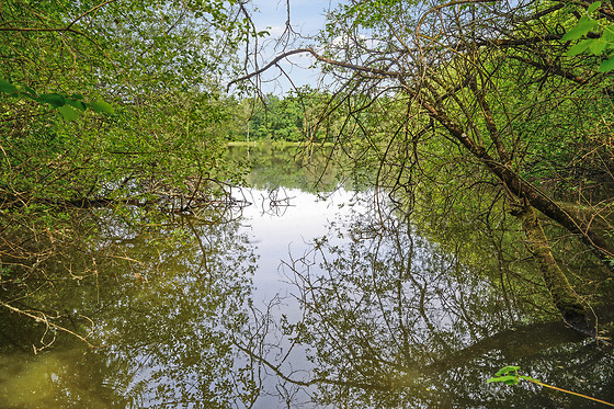 Etang des fontenils - photo 9