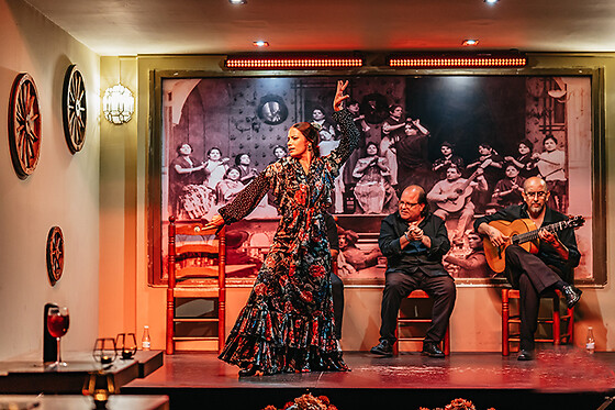 TABLAO FLAMENCO LA CANTAORA - photo 8