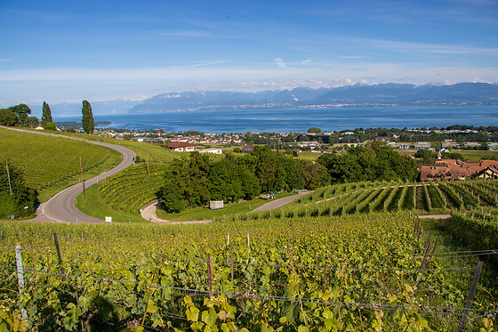 Domaine de Chantemerle - photo 8