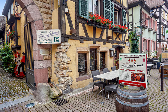 Vignobles François Baur - photo 5