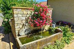 La Dame Blanche