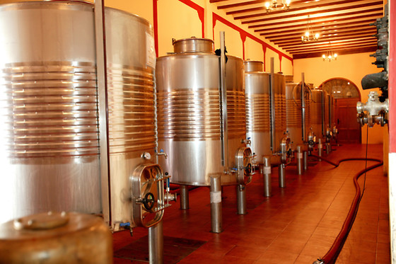 BODEGAS CASTAÑO - photo 2