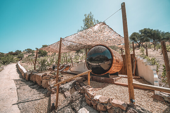 ECO HOTEL CUEVA DEL GATO - photo 8