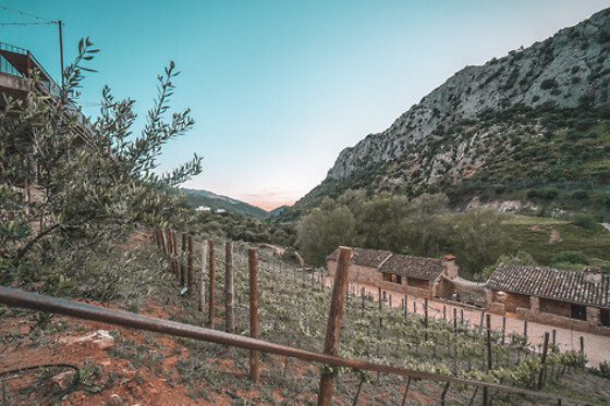 ECO HOTEL CUEVA DEL GATO - photo 11