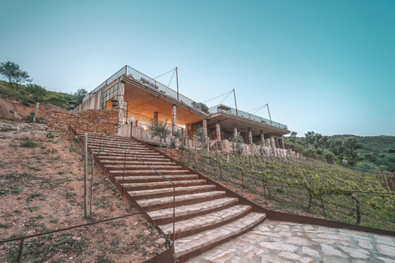 ECO HOTEL CUEVA DEL GATO - photo 13